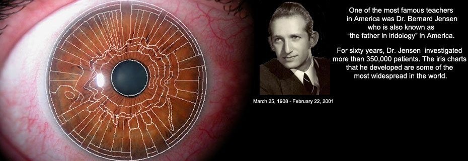 An iris with a zone chart drawn over it, beside a portrait of Dr. Bernard Jensen.